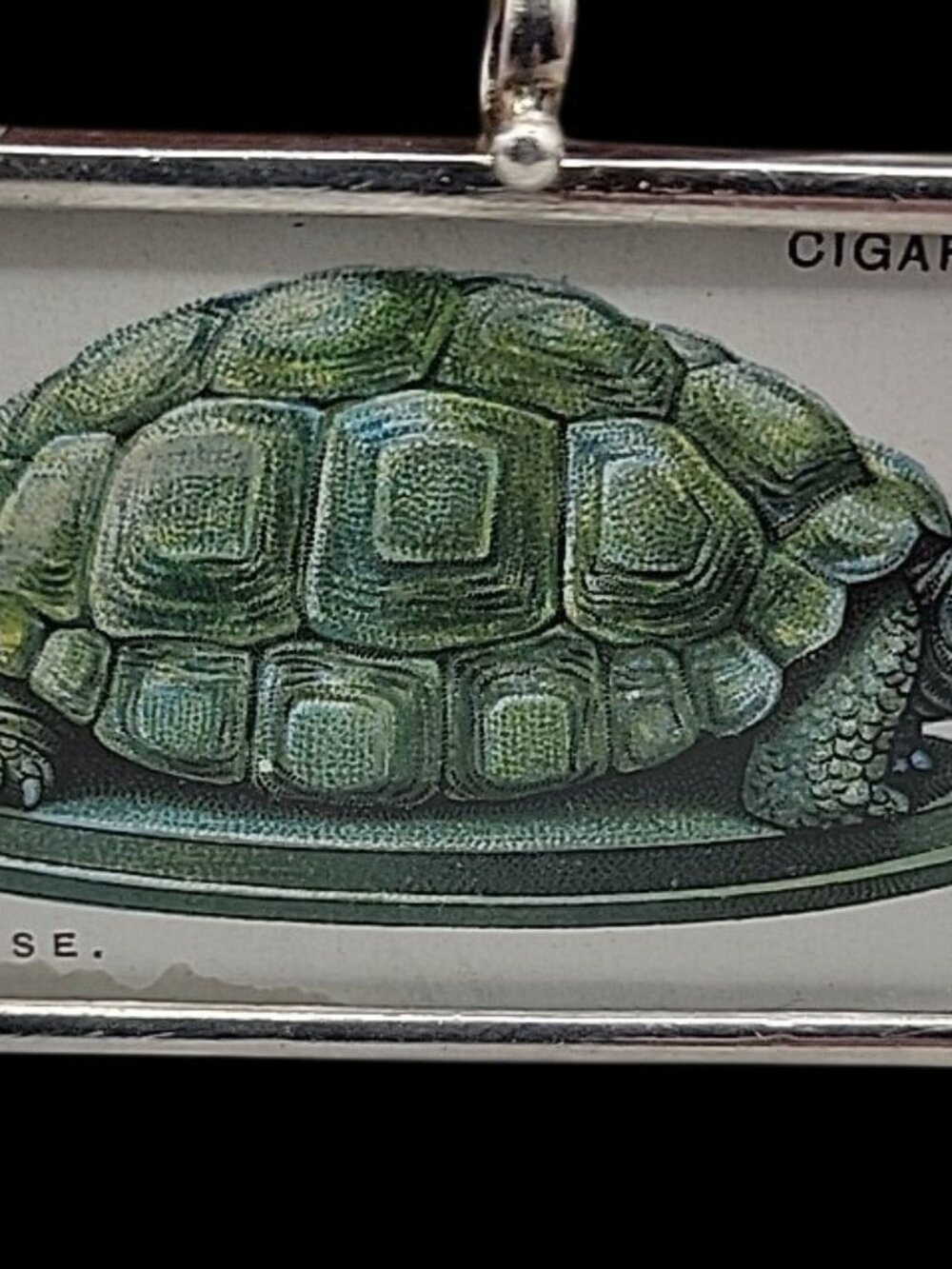 Wills Cigarettes Card No 44 Tortoise Imperial Tobacco Co Great Britain & Ireland
